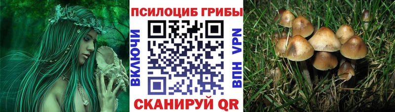 Псилоцибиновые грибы мухоморы  blacksprut вход  Верхнеуральск 